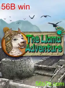 TheLlamaAdventure